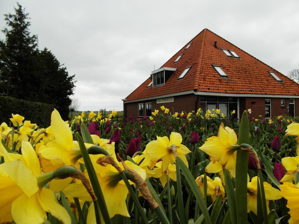 Pension Zonneweelde Oosthuizen 外观 照片