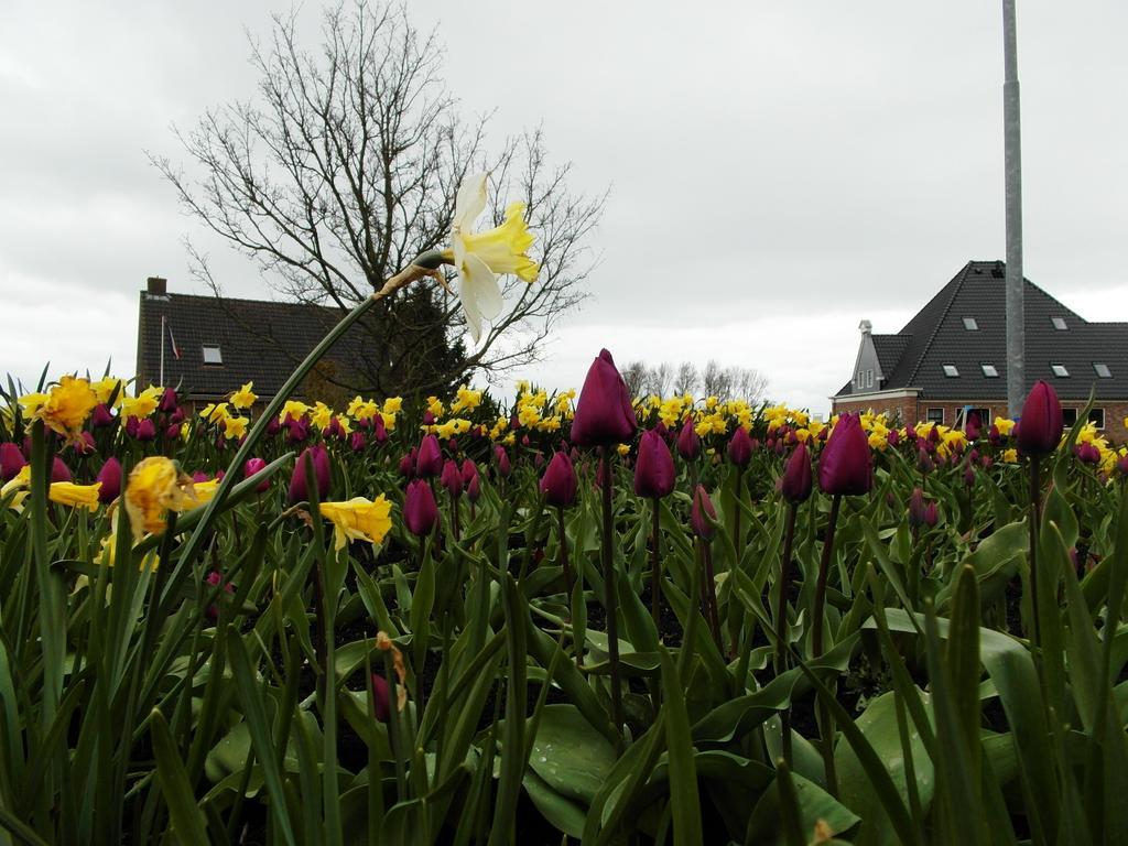 Pension Zonneweelde Oosthuizen 外观 照片